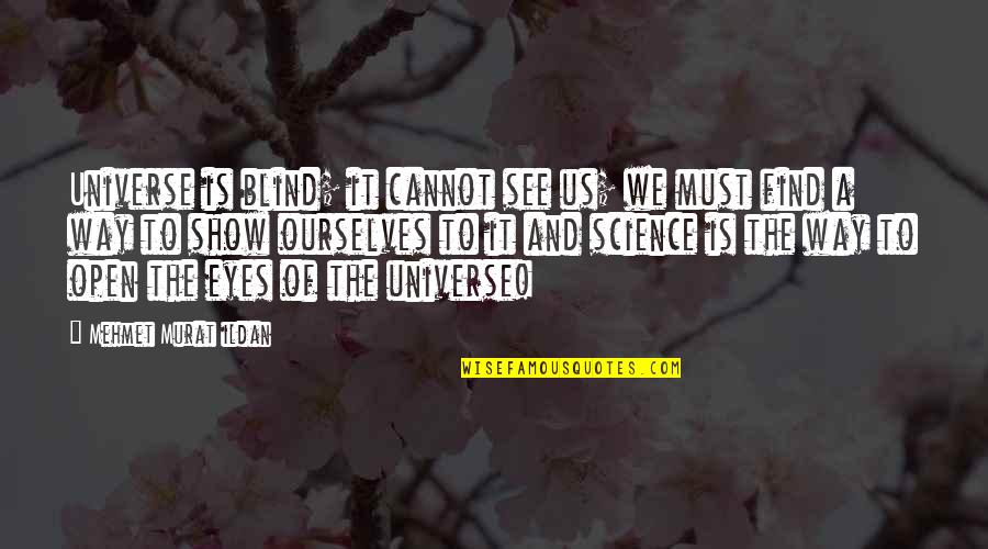 Finding Hidden Gems Quotes By Mehmet Murat Ildan: Universe is blind; it cannot see us; we