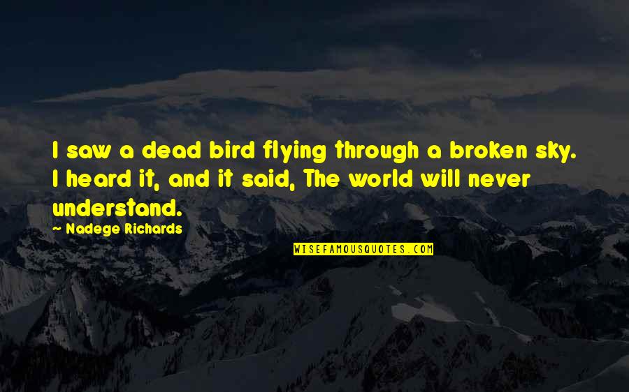 Finding Meaning In Life Quotes By Nadege Richards: I saw a dead bird flying through a