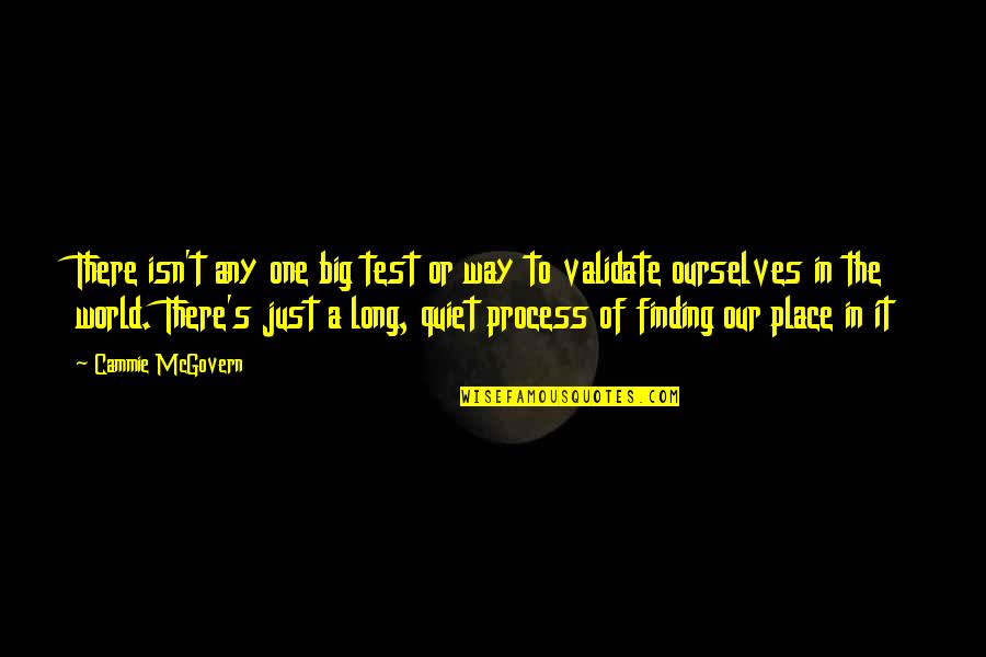 Finding My Place In The World Quotes By Cammie McGovern: There isn't any one big test or way
