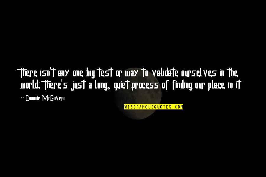 Finding Ourselves Quotes By Cammie McGovern: There isn't any one big test or way