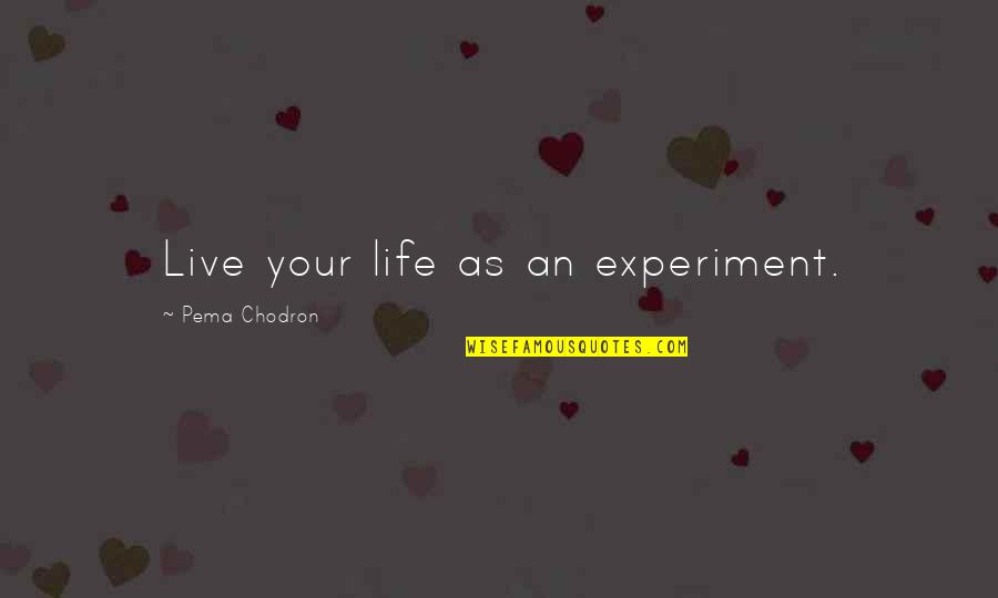 Finding Out Someone Is Lying Quotes By Pema Chodron: Live your life as an experiment.