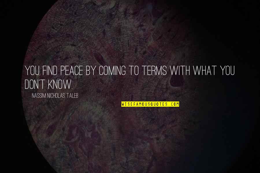 Finding Peace Quotes By Nassim Nicholas Taleb: You find peace by coming to terms with