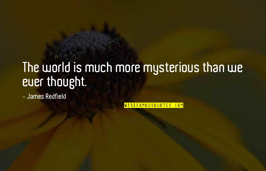 Finding Personal Happiness Quotes By James Redfield: The world is much more mysterious than we