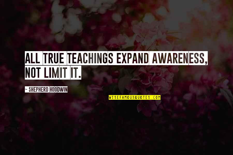 Finding Someone Better And Moving On Quotes By Shepherd Hoodwin: All true teachings expand awareness, not limit it.