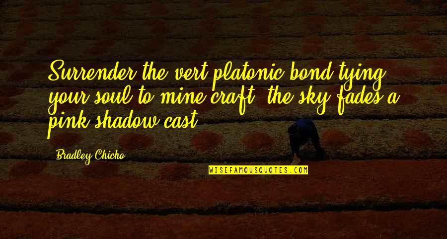 Finding Someone Who Believes In You Quotes By Bradley Chicho: Surrender the vert platonic bond tying your soul