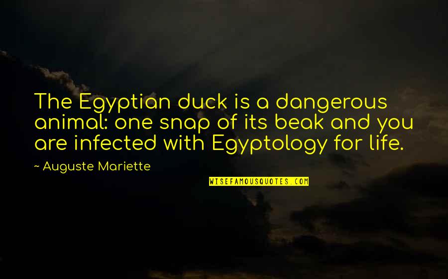 Finding Strength In Others Quotes By Auguste Mariette: The Egyptian duck is a dangerous animal: one