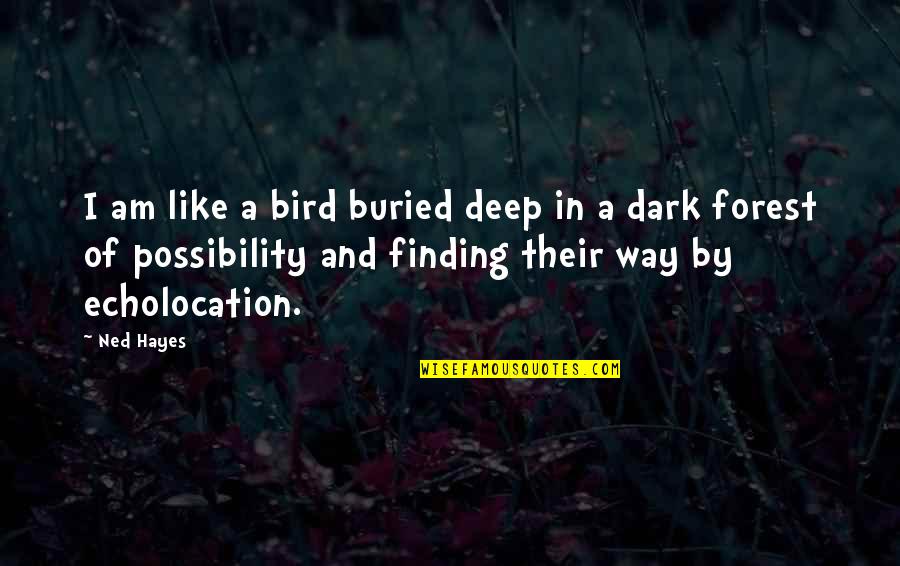 Finding The Way Out Quotes By Ned Hayes: I am like a bird buried deep in