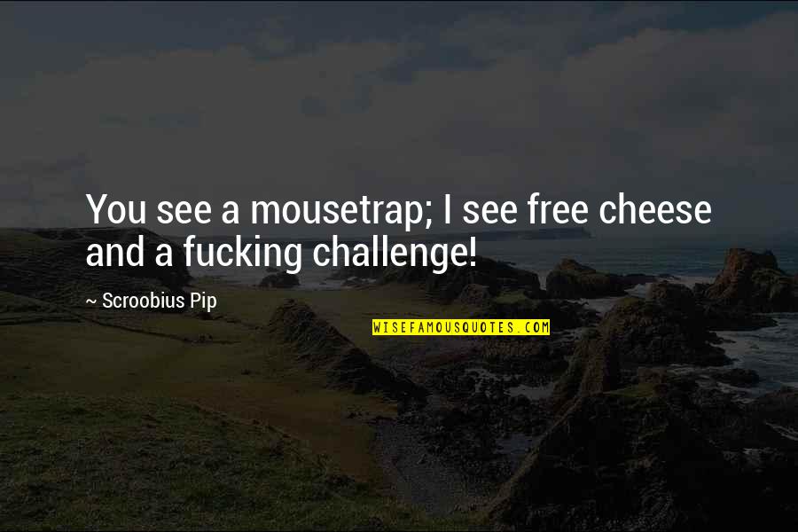 Finding Your Way Back To Love Quotes By Scroobius Pip: You see a mousetrap; I see free cheese