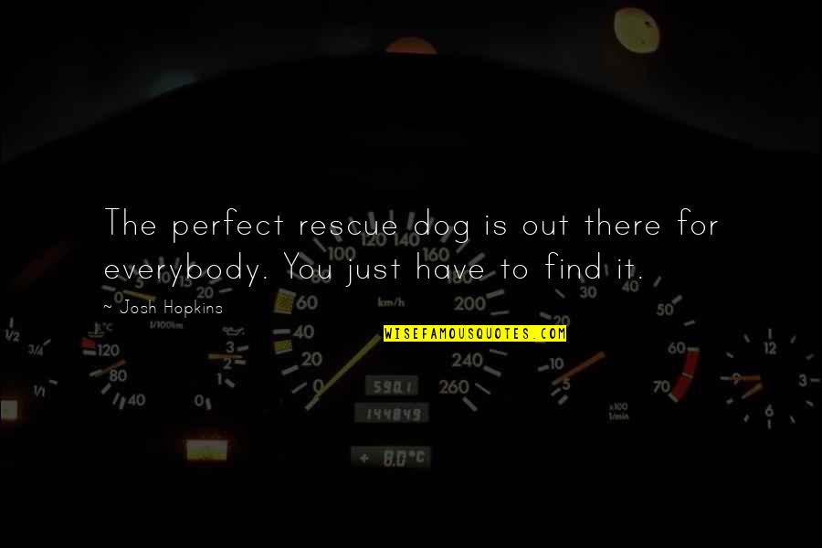 Findlater Lodge Quotes By Josh Hopkins: The perfect rescue dog is out there for