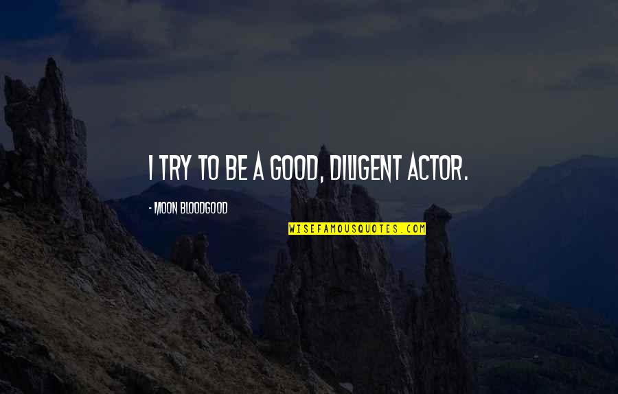 Fine Detail Quotes By Moon Bloodgood: I try to be a good, diligent actor.