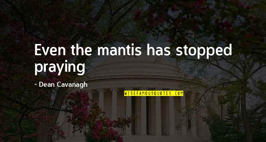 Fine Dining Experience Quotes By Dean Cavanagh: Even the mantis has stopped praying Fine Dining Experience Quotes By Dean Cavanagh: Even the mantis has stopped praying
