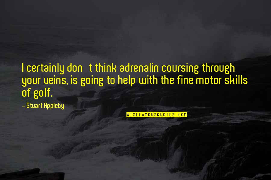 Fine Motor Skills Quotes By Stuart Appleby: I certainly don't think adrenalin coursing through your