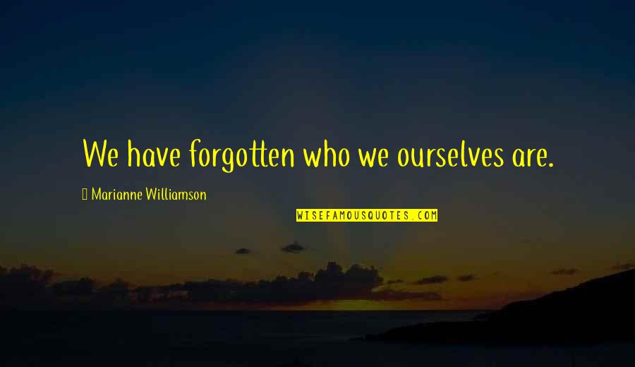 Finfrock Construction Quotes By Marianne Williamson: We have forgotten who we ourselves are.