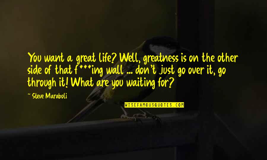 F'ing Quotes By Steve Maraboli: You want a great life? Well, greatness is