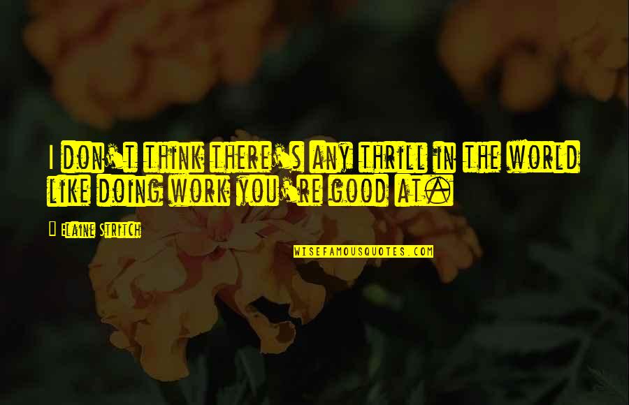 Fingal Library Quotes By Elaine Stritch: I don't think there's any thrill in the