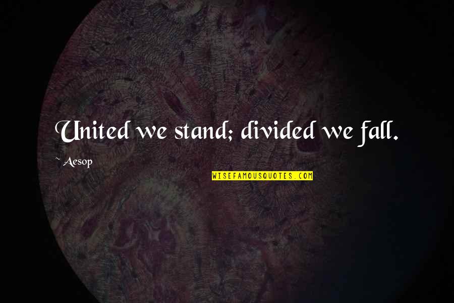 Finger Crossed Quotes By Aesop: United we stand; divided we fall.