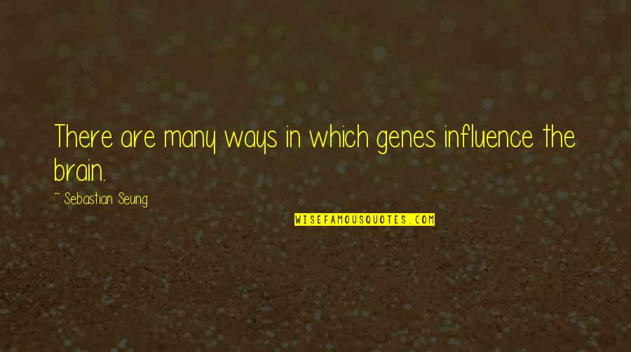 Fingersmith Sarah Waters Quotes By Sebastian Seung: There are many ways in which genes influence