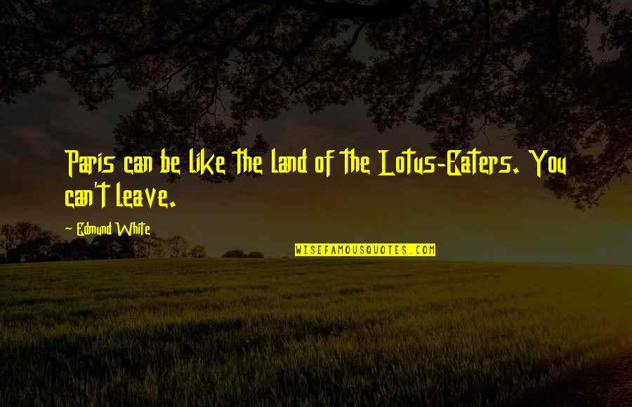 Finis Mitchell Quotes By Edmund White: Paris can be like the land of the