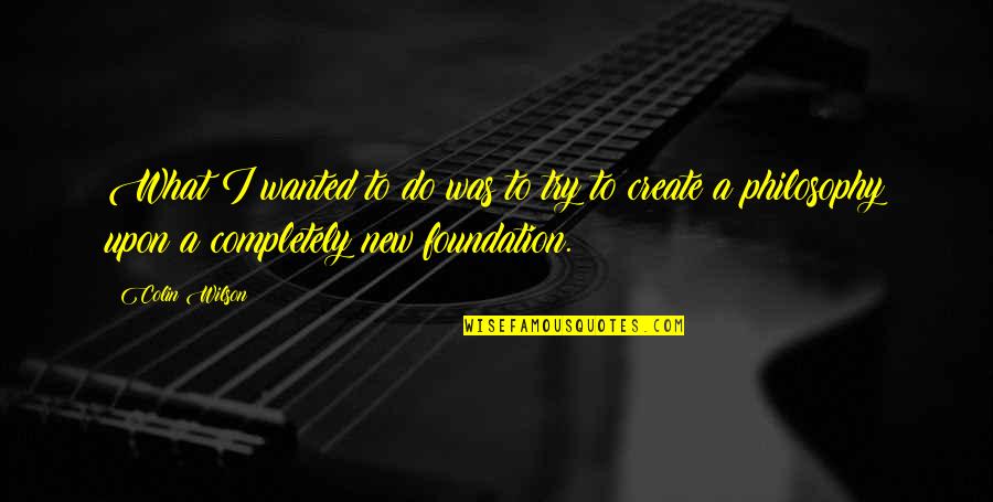 Finissent In English Quotes By Colin Wilson: What I wanted to do was to try Finissent In English Quotes By Colin Wilson: What I wanted to do was to try