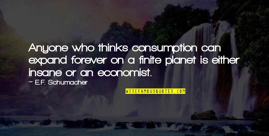 Finite Quotes By E.F. Schumacher: Anyone who thinks consumption can expand forever on