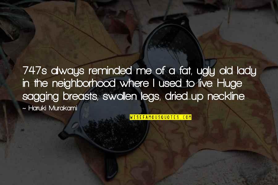 Finjo Sherpa Quotes By Haruki Murakami: 747s always reminded me of a fat, ugly Finjo Sherpa Quotes By Haruki Murakami: 747s always reminded me of a fat, ugly