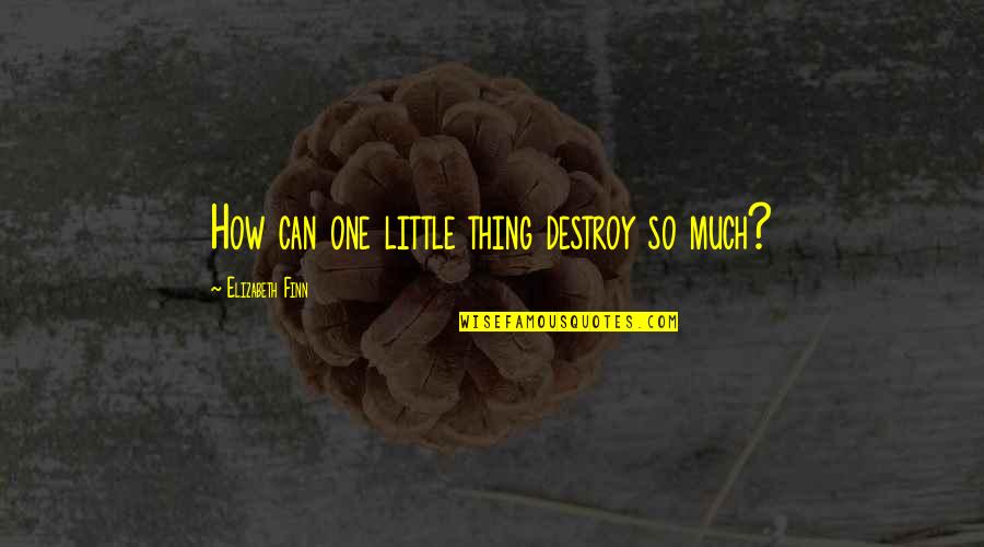 Finn'd Quotes By Elizabeth Finn: How can one little thing destroy so much?