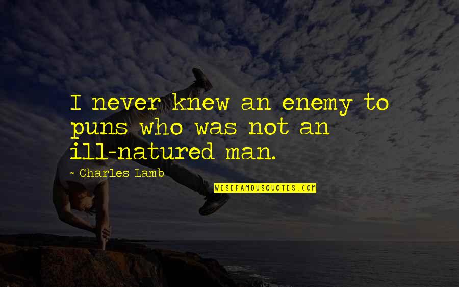 Finnkin's Quotes By Charles Lamb: I never knew an enemy to puns who