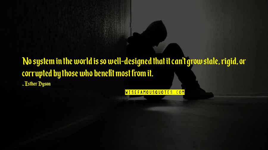 Finsrud Perpetuum Quotes By Esther Dyson: No system in the world is so well-designed Finsrud Perpetuum Quotes By Esther Dyson: No system in the world is so well-designed