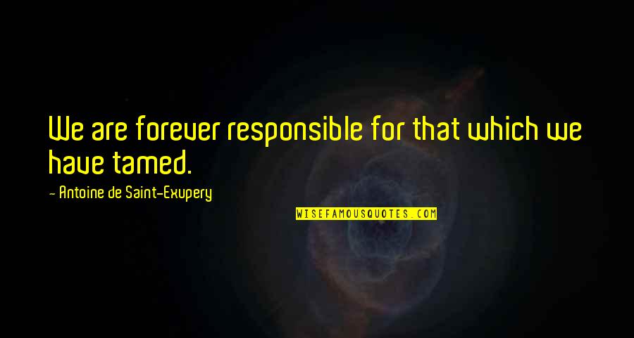Finsx Quotes By Antoine De Saint-Exupery: We are forever responsible for that which we