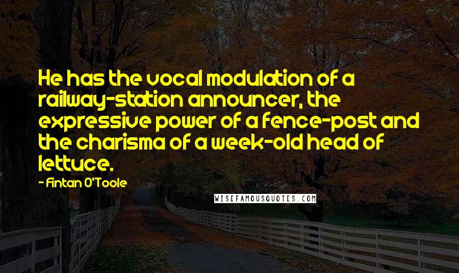 Fintan O'Toole quotes: He has the vocal modulation of a railway-station announcer, the expressive power of a fence-post and the charisma of a week-old head of lettuce.