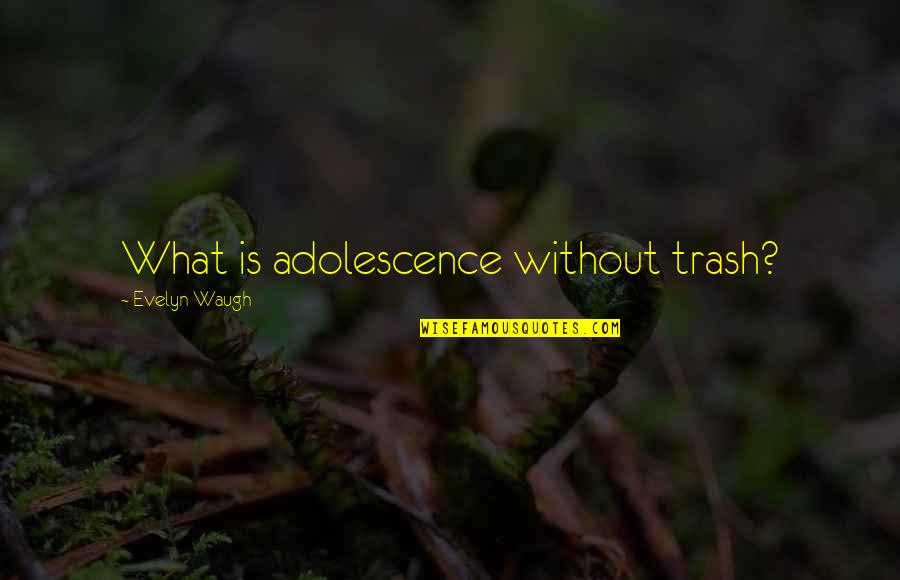 Fintan Stack Quotes By Evelyn Waugh: What is adolescence without trash?