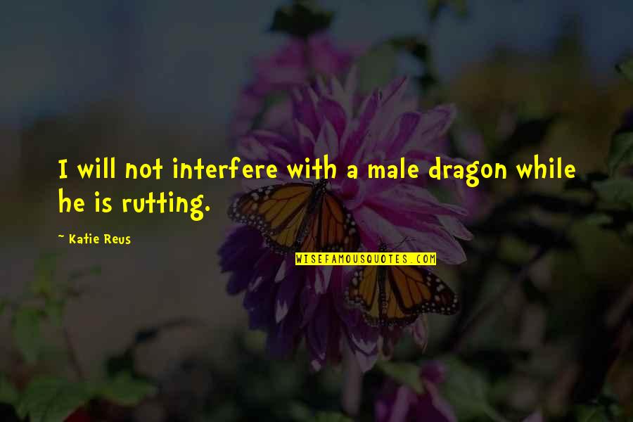 Finucane And Hartzell Quotes By Katie Reus: I will not interfere with a male dragon