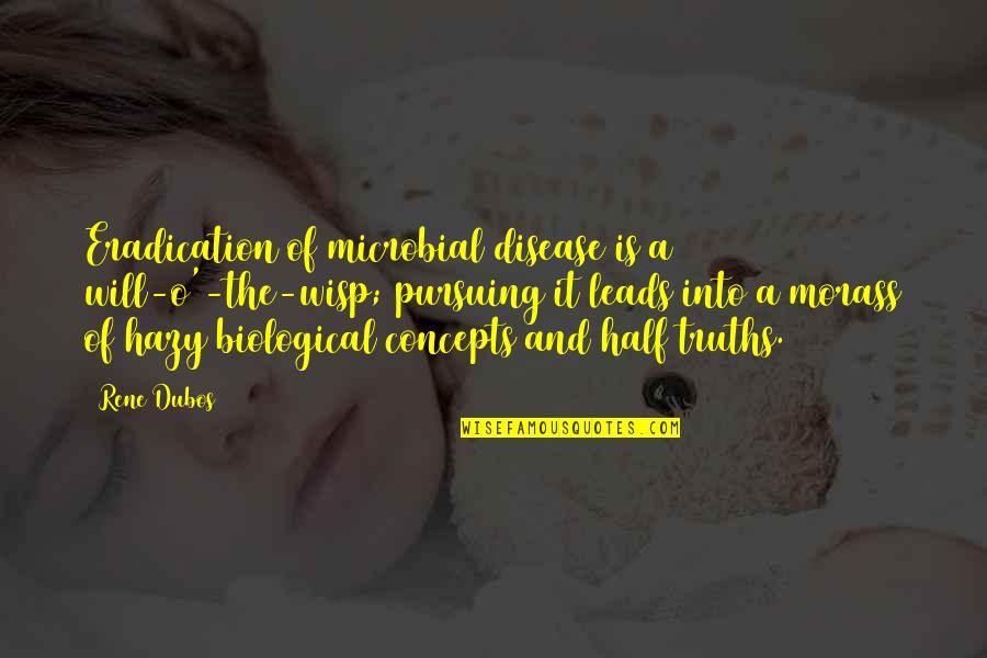 Finzioni Borges Quotes By Rene Dubos: Eradication of microbial disease is a will-o'-the-wisp; pursuing