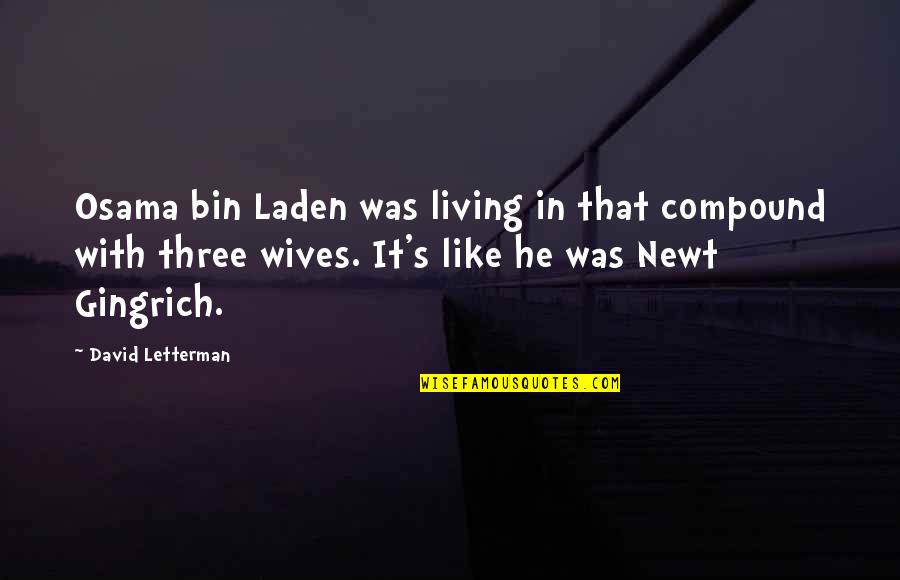 Fiona A Boy Book Quotes By David Letterman: Osama bin Laden was living in that compound