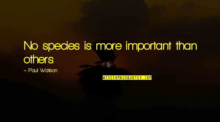 Fiona Ahs Coven Quotes By Paul Watson: No species is more important than others. Fiona Ahs Coven Quotes By Paul Watson: No species is more important than others.