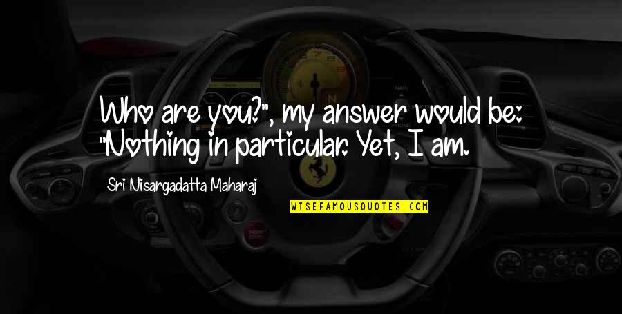 Fiona Shackleton Quotes By Sri Nisargadatta Maharaj: Who are you?", my answer would be: "Nothing
