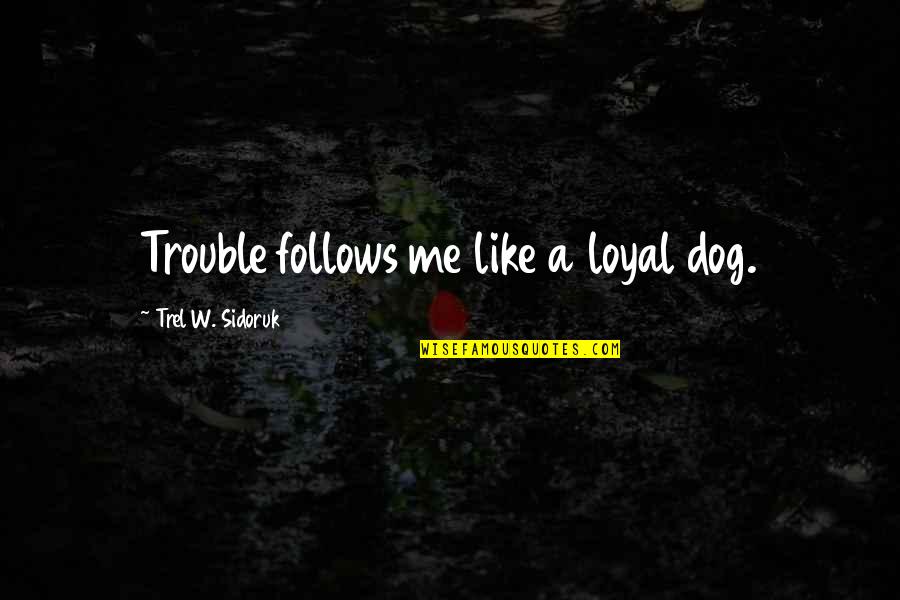 Fiona Wood Quotes By Trel W. Sidoruk: Trouble follows me like a loyal dog.