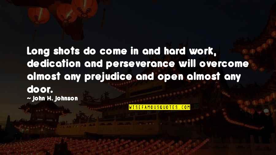 Fionna X Quotes By John H. Johnson: Long shots do come in and hard work,