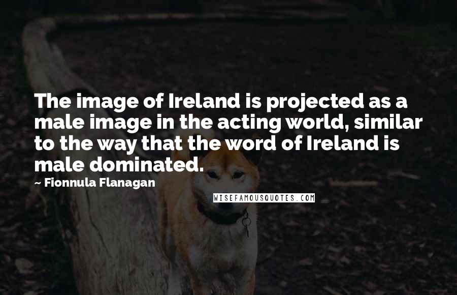 Fionnula Flanagan quotes: The image of Ireland is projected as a male image in the acting world, similar to the way that the word of Ireland is male dominated.