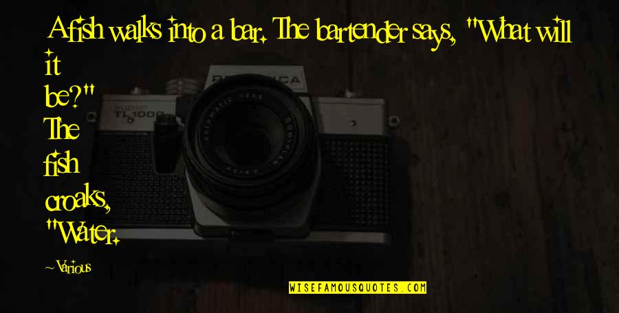 Firdovsi Ibrahimov Quotes By Various: A fish walks into a bar. The bartender