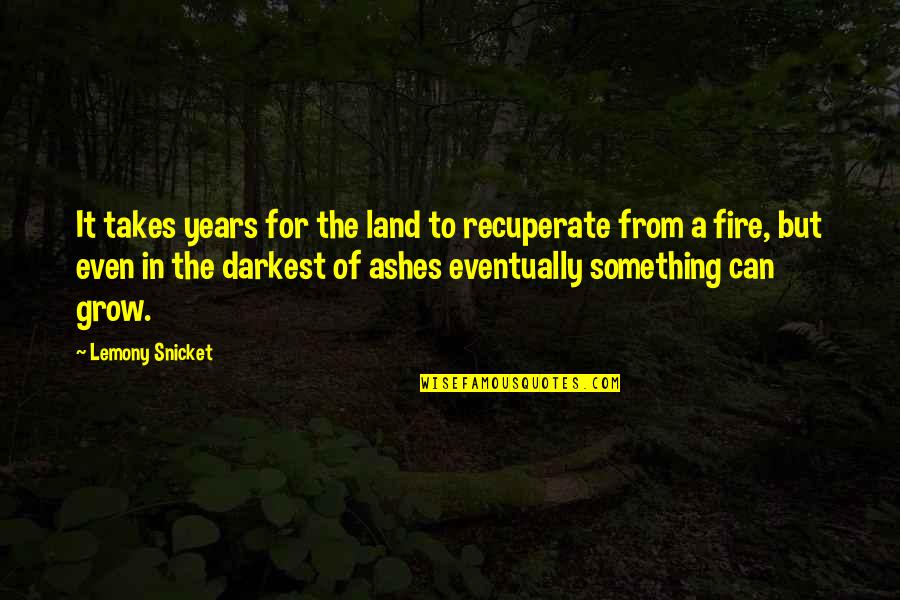 Fire And Ashes Quotes By Lemony Snicket: It takes years for the land to recuperate