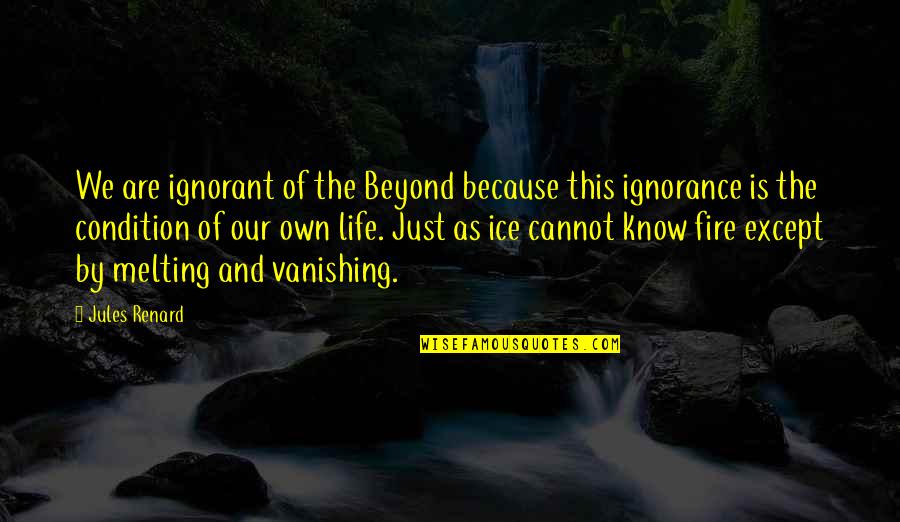 Fire And Ice Quotes By Jules Renard: We are ignorant of the Beyond because this