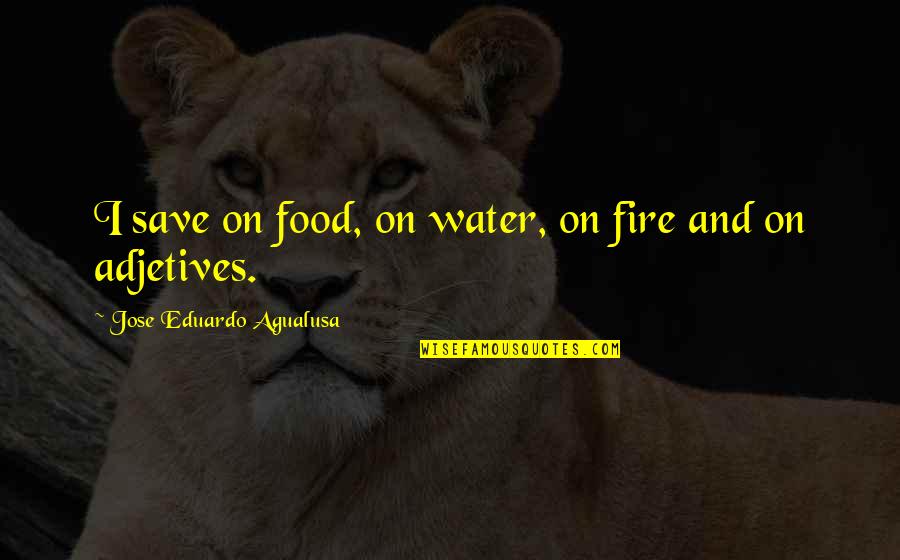 Fire And Water Quotes By Jose Eduardo Agualusa: I save on food, on water, on fire
