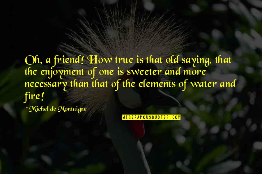 Fire And Water Quotes By Michel De Montaigne: Oh, a friend! How true is that old