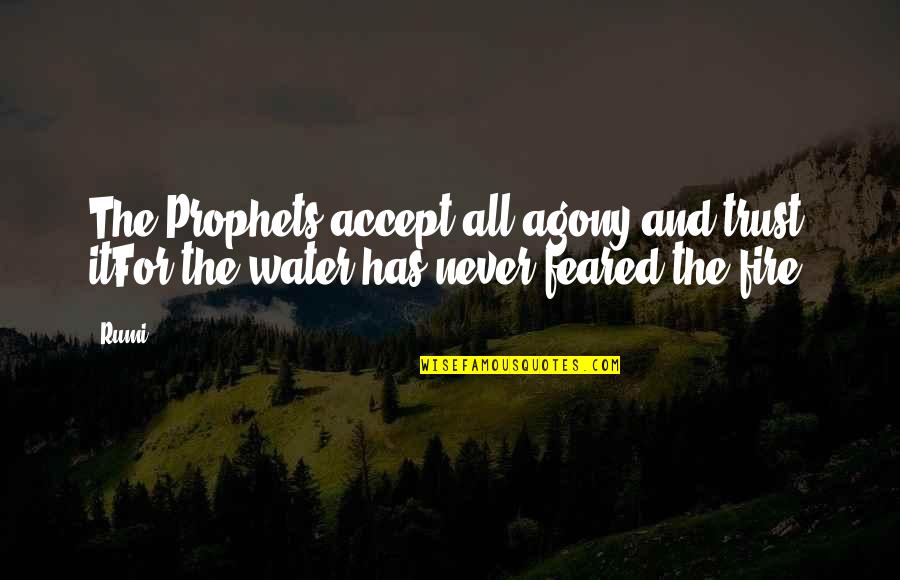 Fire And Water Quotes By Rumi: The Prophets accept all agony and trust itFor