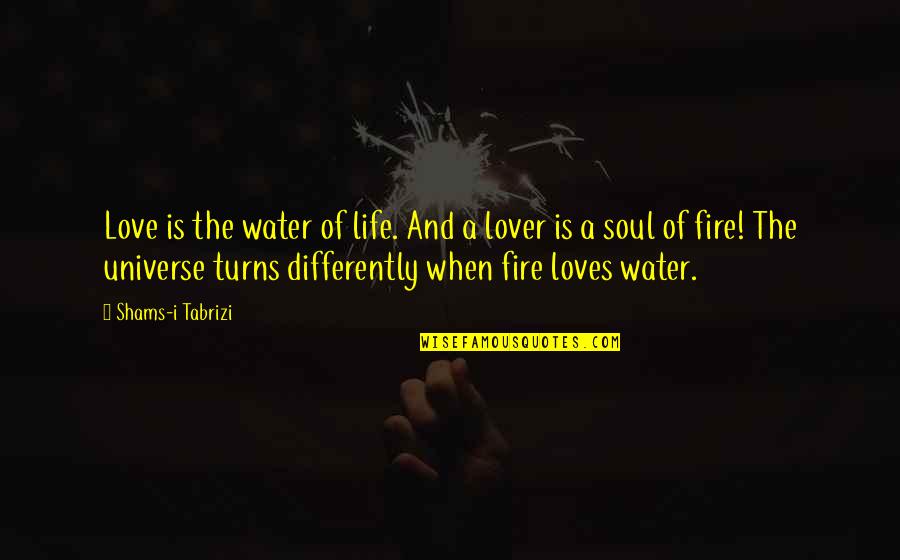 Fire And Water Quotes By Shams-i Tabrizi: Love is the water of life. And a