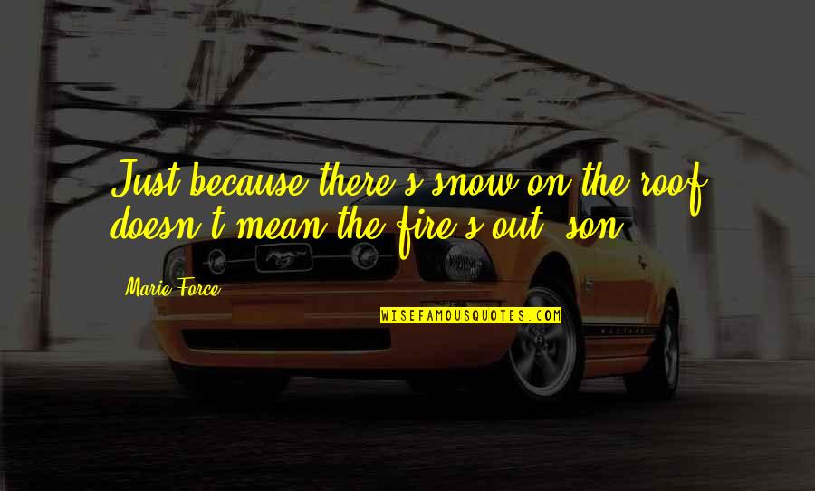 Fire Force Quotes By Marie Force: Just because there's snow on the roof doesn't
