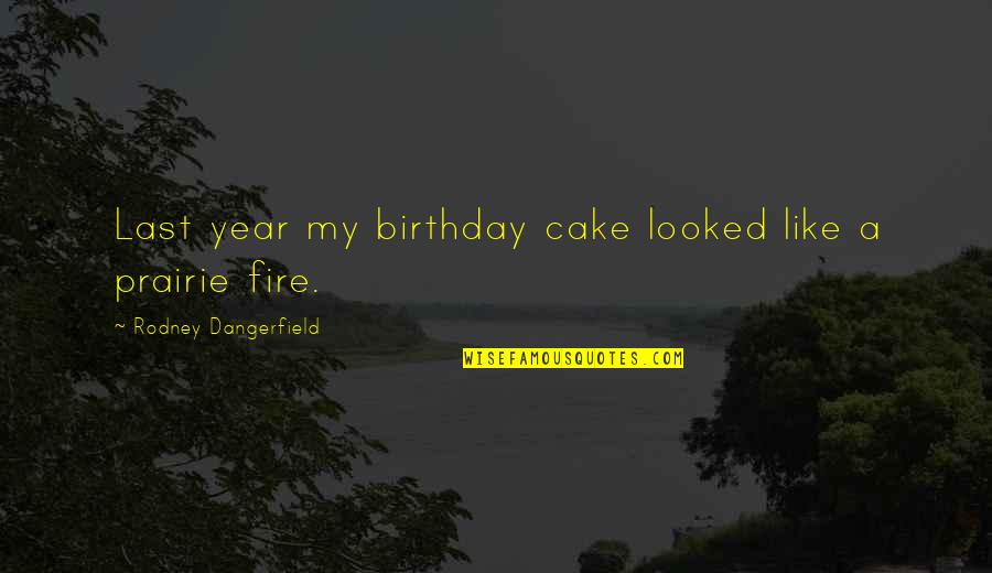 Fire Funny Quotes By Rodney Dangerfield: Last year my birthday cake looked like a