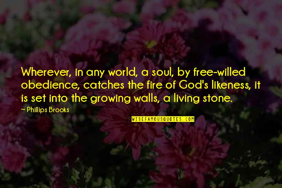 Fire Growing Quotes By Phillips Brooks: Wherever, in any world, a soul, by free-willed