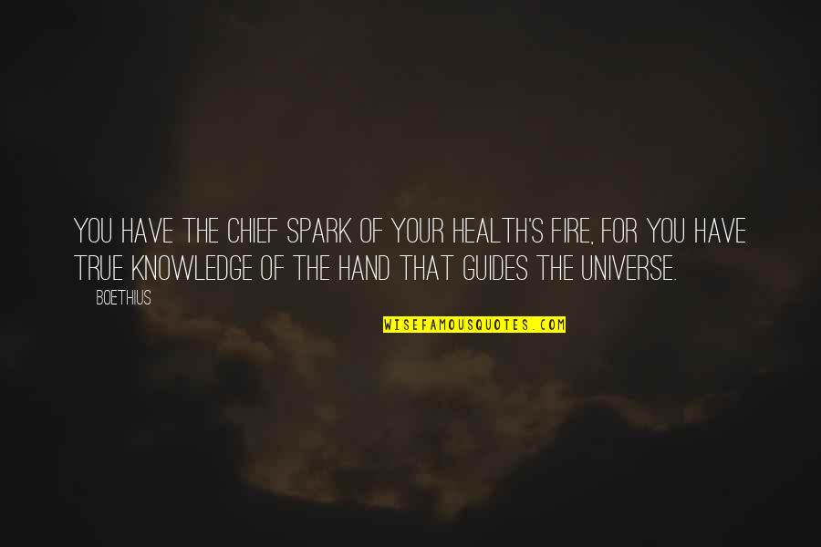 Fire In Hand Quotes By Boethius: You have the chief spark of your health's